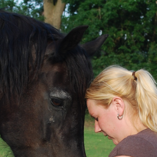 Paardencoaching