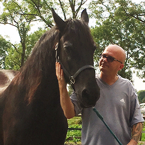 Paardencoaching