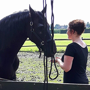 Paardencoaching