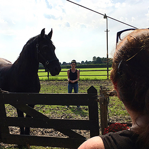 Paardencoaching