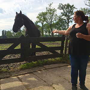 Paardencoaching